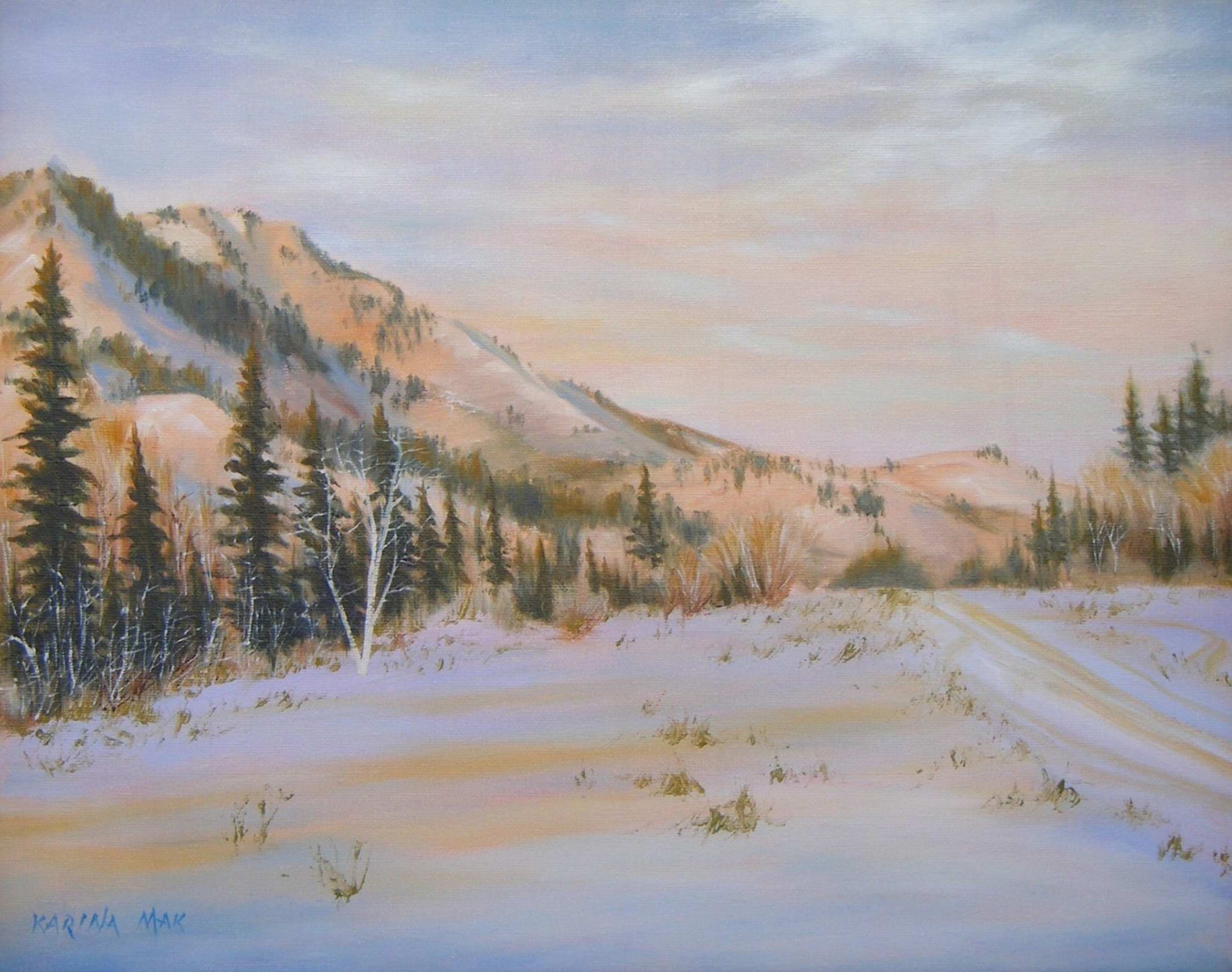 Beaver Mines in Winter