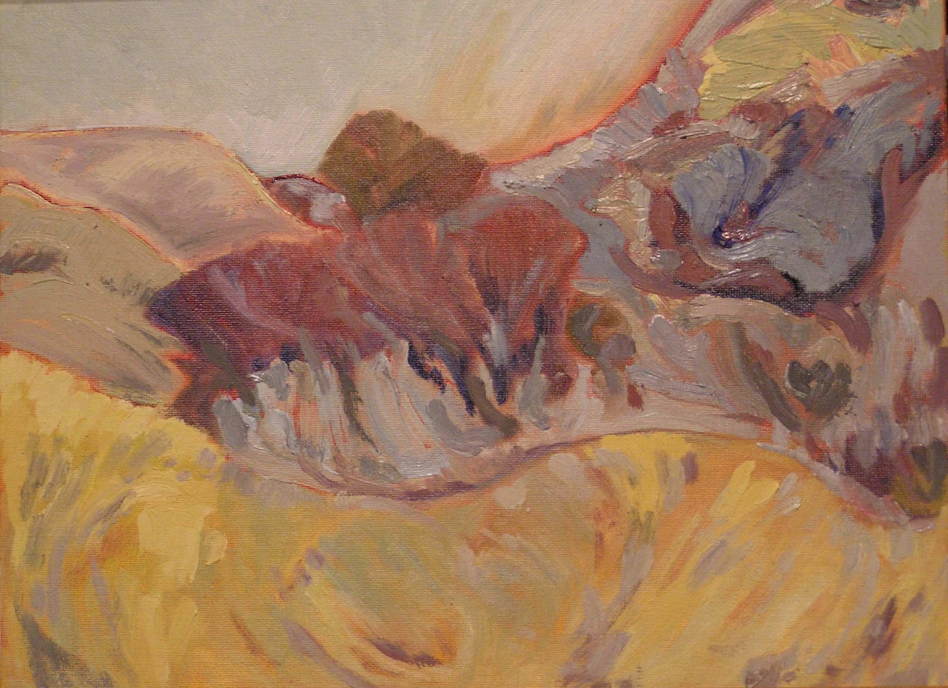 Buffalo Draw
